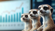 © Earny - Three meerkats sitting together with a backdrop of financial graphs, symbolizing teamwork and observation in business.