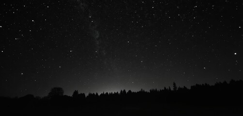 Wall Mural - Night starry sky with lot of stars. Dark landscape with tree silhouettes. Sky gazing at milky way. Black and white dramatic mysterious nightscape wallpaper.
