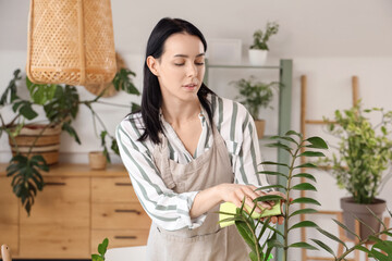 Wall Mural - Beautiful young woman with rag wiping dust on houseplant at home