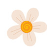 © Kate ARTery19 - Flower of white Chamomile, daisy isolated on white background. Doodle style. Hand drawn Vector icon. Top view