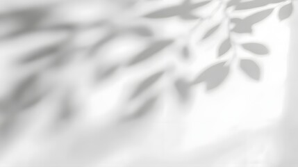Aufkleber - Soft and dreamy tree leaves shadow overlaying a plain white wall background with subtle light transitions evoking a tranquil and timeless mood