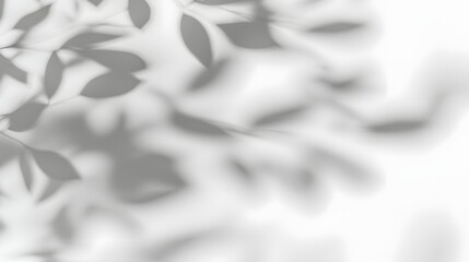 Aufkleber - Captivating Natural Leaf Shadow Patterns on Minimalist White Background  Organic Contemporary Abstract Composition with Gentle Contrasts and Elegant Simplicity