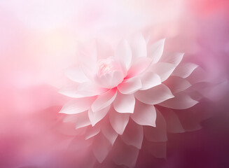 Wall Mural - a delicate white dahlia flower with soft pink accents is the focal point, illuminated by a gentle, d