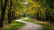 © StockKing - Winding gravel pathway through lush green park with vibrant yellow autumn leaves on trees creating a serene natural landscape scene