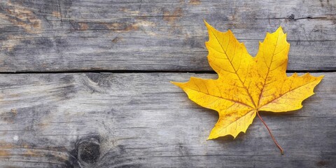 Poster - Yellow maple leaf on rustic dark wooden desk capturing autumn's essence with intricate textures and warm hues for a seasonal ambiance