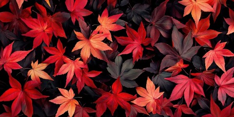 Leinwandbilder - Vibrant autumn maple leaves in shades of crimson, orange, and deep burgundy scattered against a dark background creating a stunning seasonal backdrop