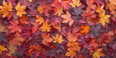 Poster - Autumn-themed backdrop with a dense arrangement of red, orange, and yellow maple leaves creating a colorful design with ample copy space in the center