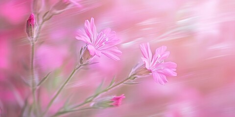 Fototapete - Delicate pink flowers with soft blurred background in shades of pastel pink; flowers positioned left side, emphasizing gentle movement and tranquility.