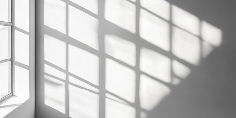 Fototapete - Bright white wall adorned with soft shadows from a window, showcasing a grid pattern, with sunlight creating a serene atmosphere in a minimalist interior.
