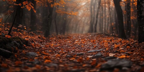 Fototapete - Serene forest pathway with a carpet of brown leaves on the ground, surrounded by softly blurred trees in warm autumn tones of orange and brown.