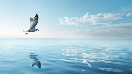 Poster - Seagull soaring above tranquil blue waters reflecting soft clouds and distant islands, under a serene blue sky, evoking a peaceful atmosphere