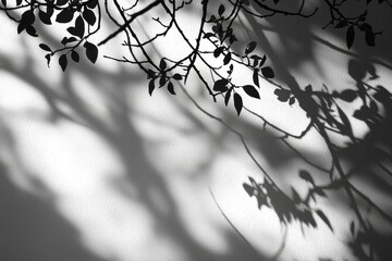 Poster - Elegant monochrome shot of branches and leaves casting shadows on a textured wall, creating a minimalist and artistic black and white composition, with high contrast.