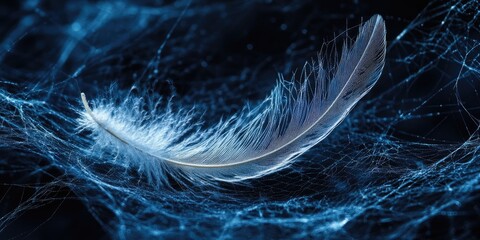 Poster - Delicate white feather resting on dark web-like structure with blue highlights creating a serene and ethereal atmosphere in close-up view.
