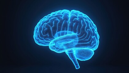 Aufkleber - glowing blue brain representation cognition, tech, ai. neural connection anatomy, mind intelligence.