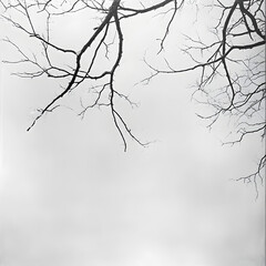 Poster - Barren Branch Silhouette: A stark monochrome image of a bare tree branch against a cloudy sky, creating a sense of solitude and minimalistic beauty. 