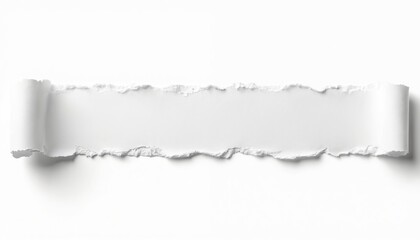 Poster - Ripped white paper banner with jagged edges on transparent background. Paper scrap with torn texture. Empty space for creative design with text area.
