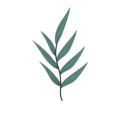 Handdrawn Leaf Illustration