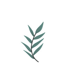 Handdrawn Leaf Illustration