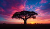 Silhouette of an acacia tree at vibrant sunset, african landscape