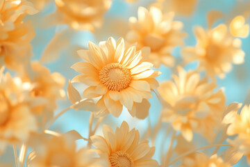 Wall Mural - Vibrant yellow sunflowers blooming in sunlight against soft blue sky