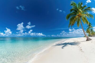 Poster - Beautiful tropical beach banner White sand and coco palms travel tourism wide panorama background concept Amazing beach landscape