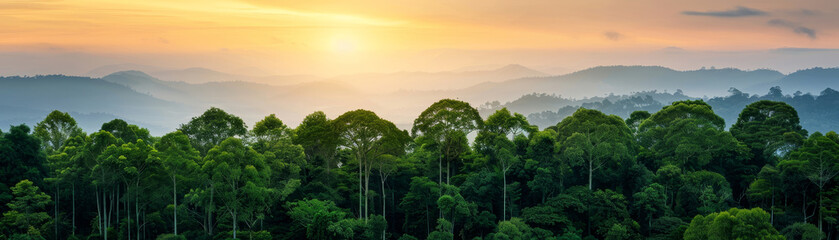 Wall Mural - a lush sustainable landscape featuring tall trees under a vibrant sky, symbolizing a thriving natura