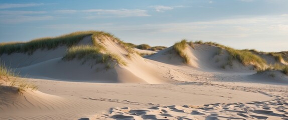 Poster - beautiful sandy beach dunes under clear sky with lush grass and space for text or branding in a scen