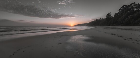 Poster - serene black and white panoramic sunset over calm beach with soft waves and lush trees on the shorel