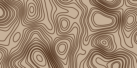 Poster - abstract stylized color circle topographic lines in contour map background.