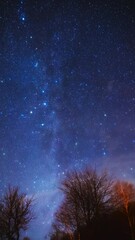 Wall Mural - time-lapse of milky way, shooting stars, planets, stars and landscape silhouettes.