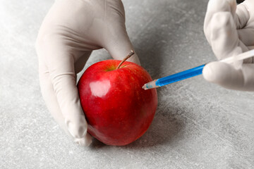 Wall Mural - gmo concept. scientist injecting something into fresh apple at grey table, closeup