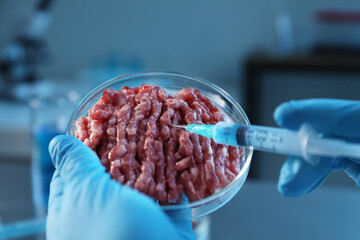 Wall Mural - GMO concept. Scientist injecting something into minced meat in laboratory, closeup