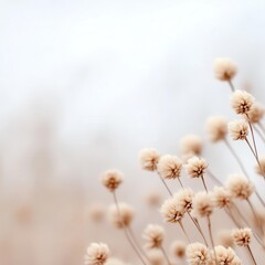 Poster - An abstract arrangement of dried flowers in soft neutral tones, with desaturated textures and a dreamy depth of field.