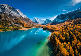 Poster - Turquoise lake reflects mountains with snow-capped peaks and autumn colored trees. Golden foliage lines the shore under a clear blue sky.