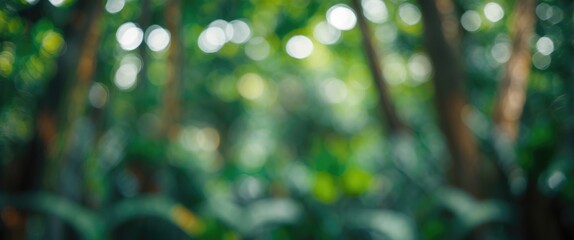 Poster - out of focus nature scene with blurred green foliage and soft bokeh background effect in a forest en