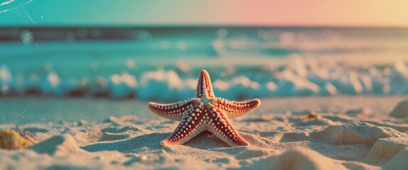 Wall Mural - Starfish on sandy beach with ocean waves in the background under colorful sunset sky