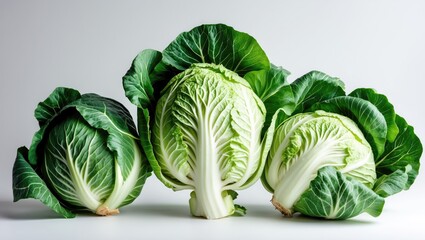 Poster - Three fresh green cabbages arranged side by side on a plain background showcasing their layered leaves and texture