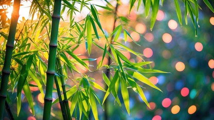 Sticker - Bamboo stems with vibrant green leaves illuminated by soft warm light and blurred colorful bokeh in the background.