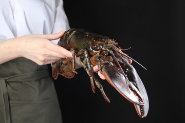 Sticker - Woman with raw lobster on black background, closeup