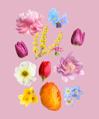 Wall Mural - Beautiful spring flowers flying on pink background