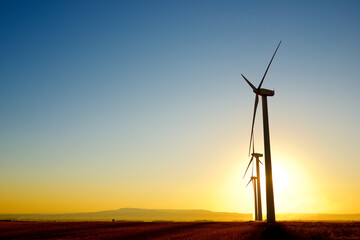 Wall Mural - Wind turbine generators for renewable electricity production