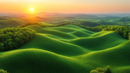 Wall Mural - Sunrise over rolling green hills (1)