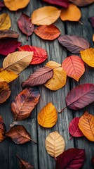 Wall Mural - Colorful Autumn Leaves Scattered on a Dark Wooden Surface Creating a Vibrant Fall Display