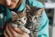© Yevhen - Veterinarian Assessing Kittens in Animal Clinic: Feline Health Care by Professional Vet