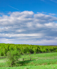 Wall Mural - field of green grass with a fence in the background