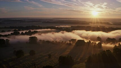 Aufkleber - Scenic sunrise over forest shrouded in fog, golden light casting dramatic shadows. Nature and tranquility concept