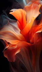 Fototapete - Red flower on black background. Red abstract wavey cloth in flower shape. 
