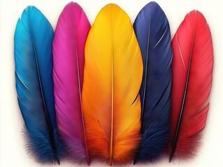 Aufkleber - Vibrant colorful feathers display nature art close-up photography natural environment artistic perspective