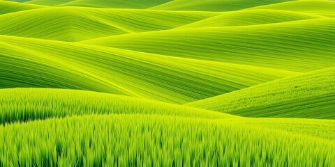 Minimalist abstract landscape of rolling fields with textures of rice, wheat, and corn crops, geometric shapes representing rural hills in vibrant green, crops, landscape