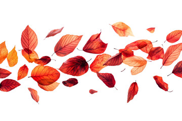Wall Mural - colorful autumn leaves swirling in the breeze